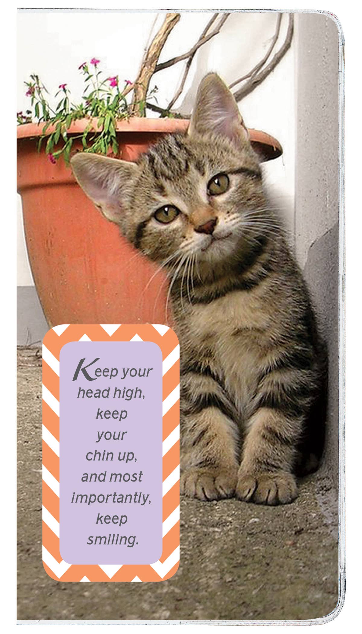 Two Year Planner FRG80076