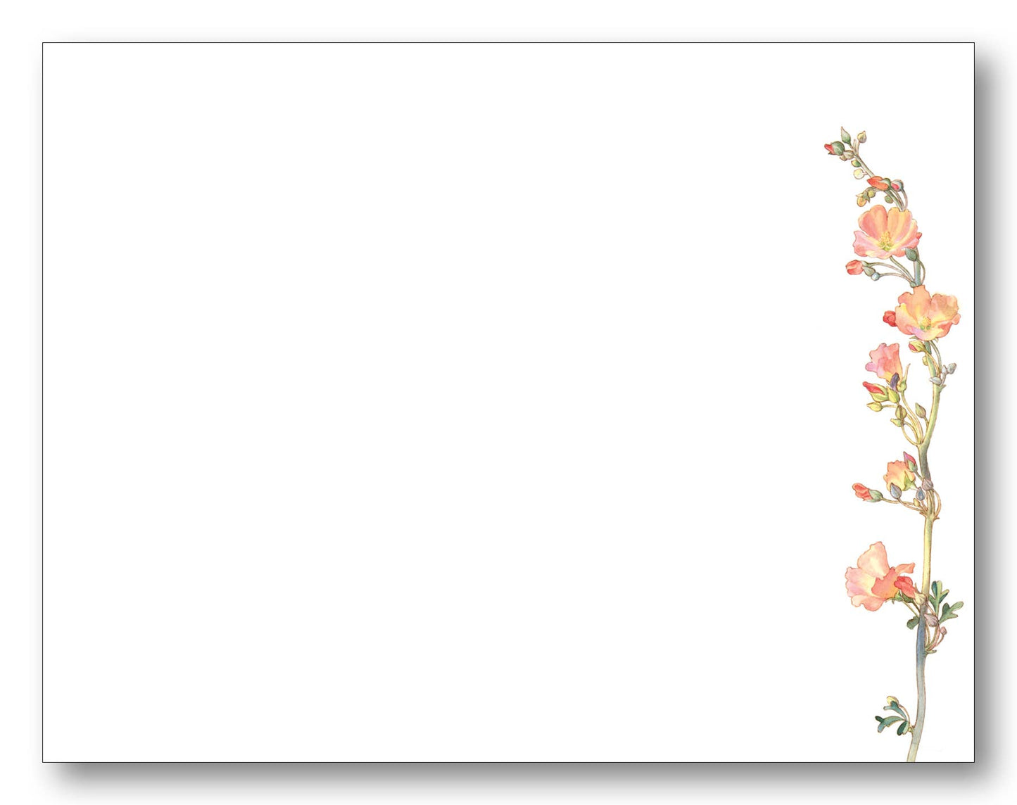 Mallow Note Card