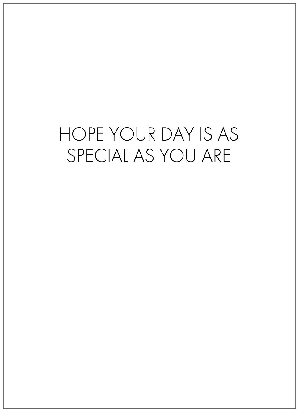 SEH AO295 Birthday Card