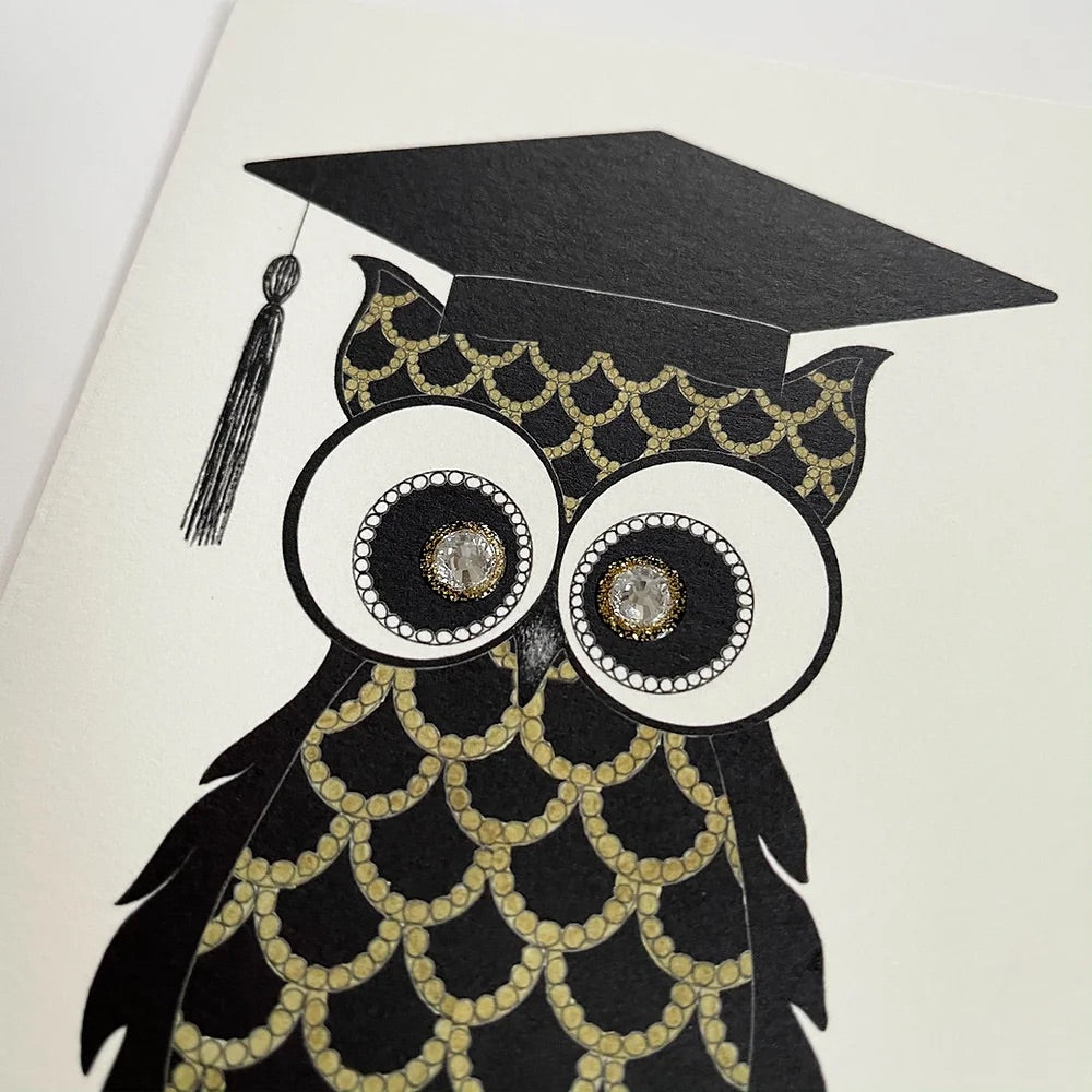 SEH AO460 - Graduation Owl
