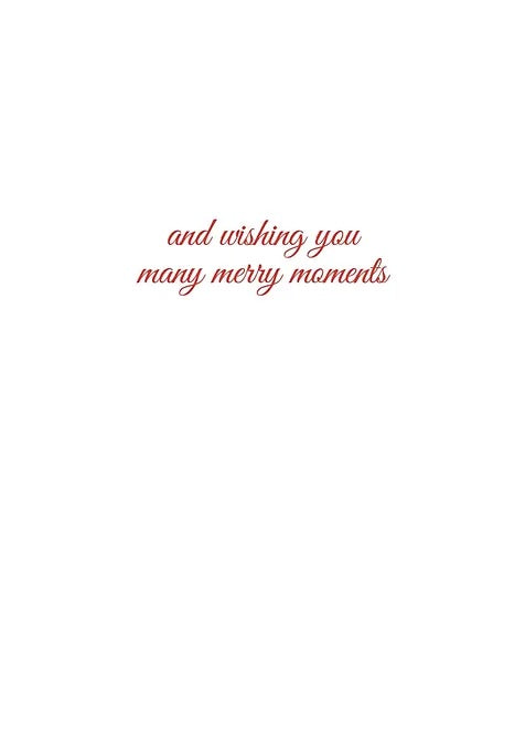 ASDH077 Christmas Card