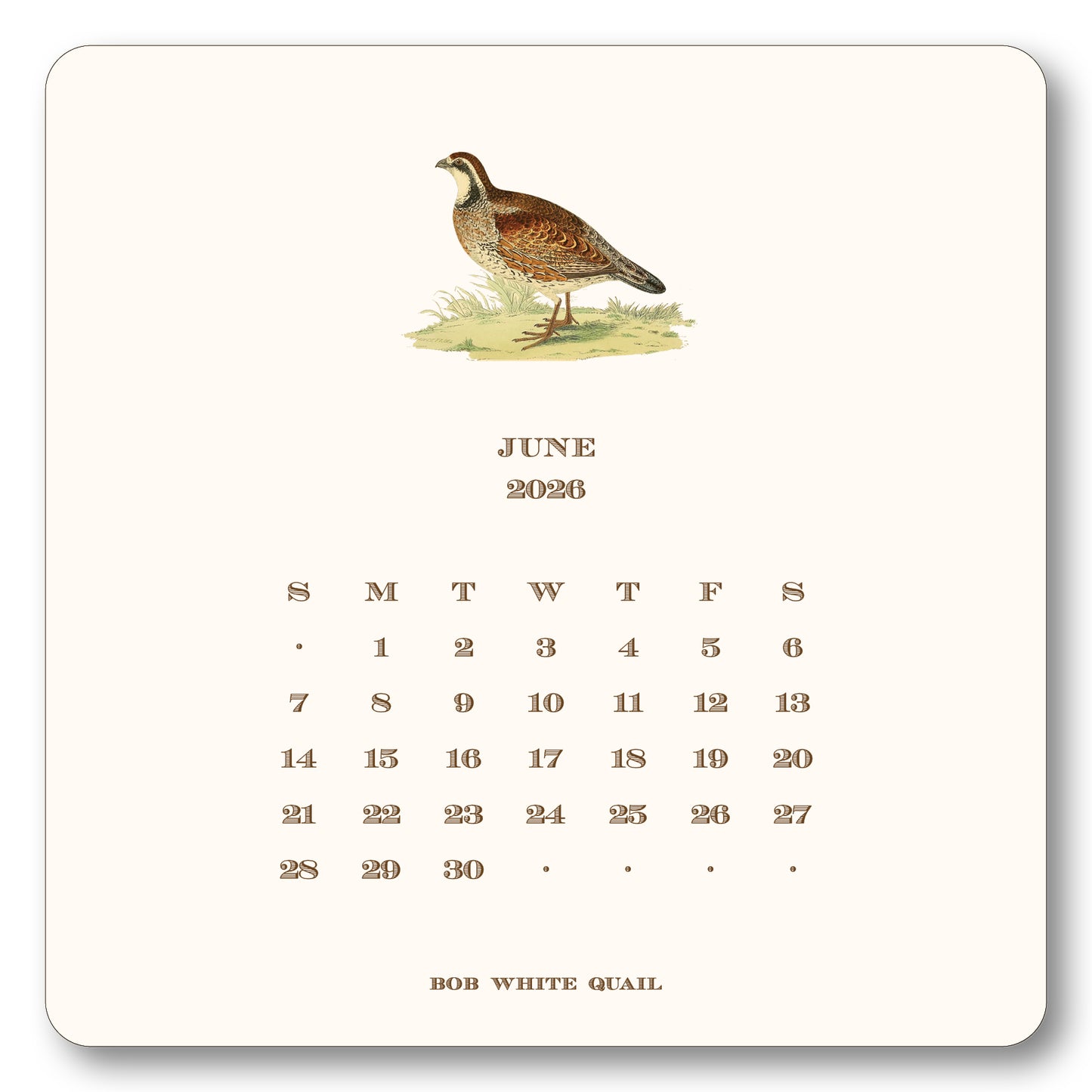 2026 Upland Bird Calendar with Easel