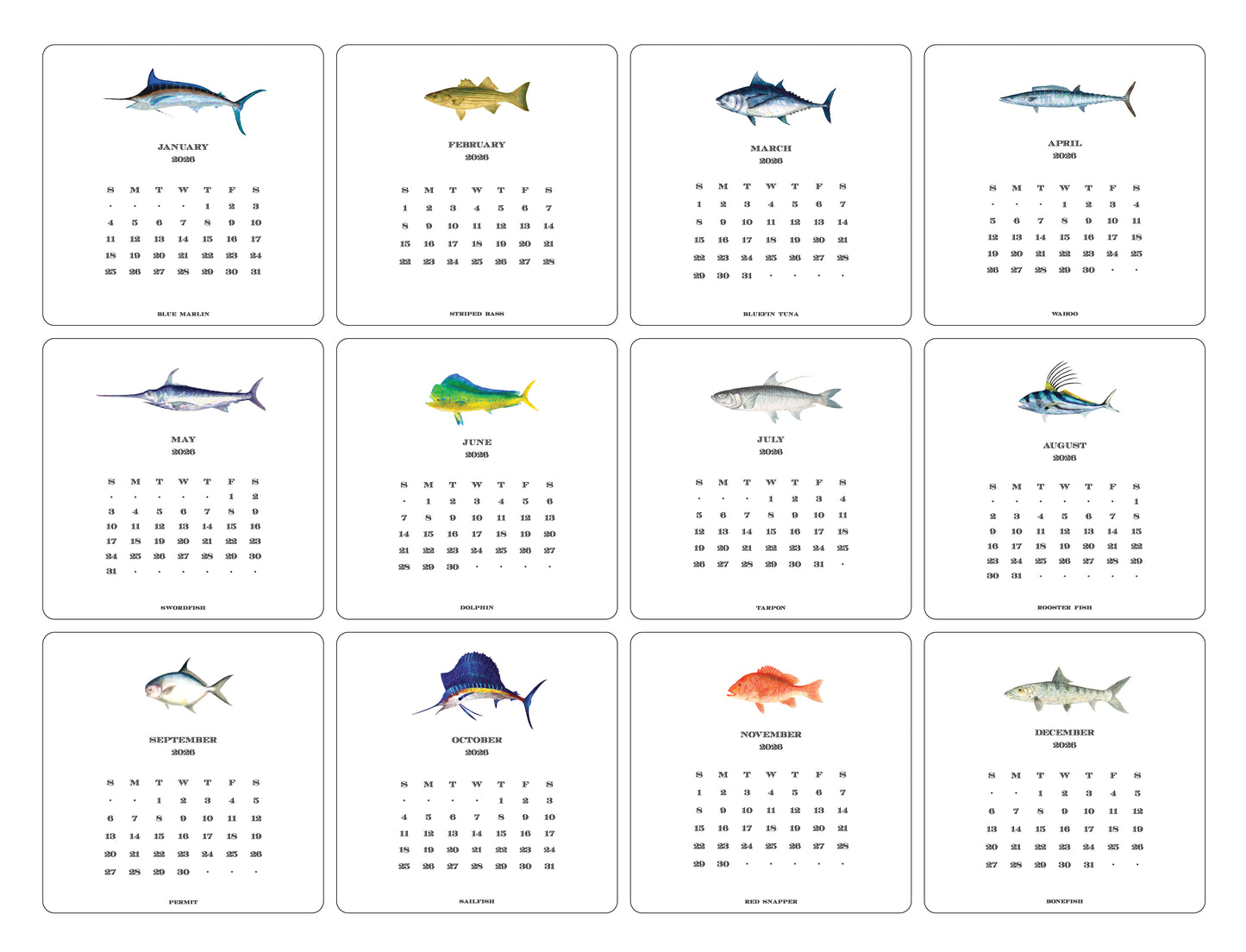 2026 Saltwater Calendar with Easel