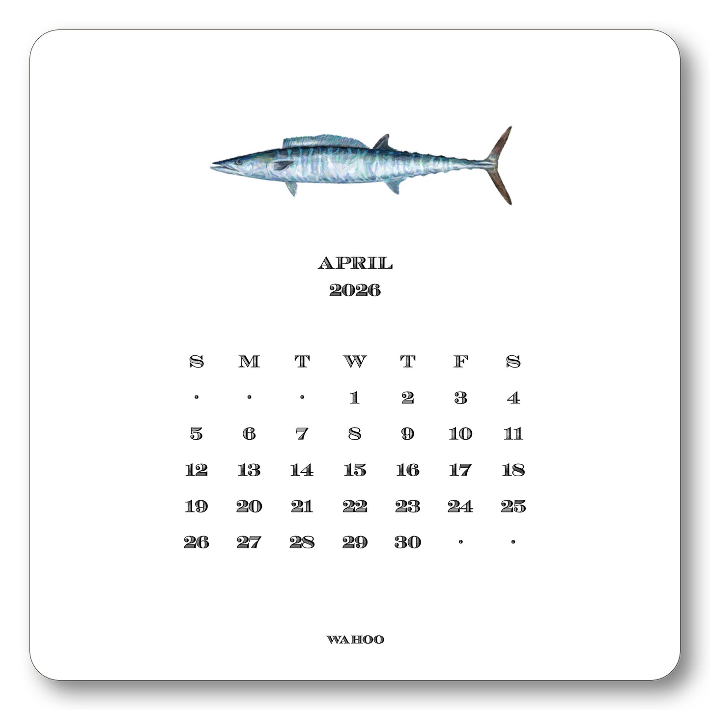 2026 Saltwater Calendar with Easel