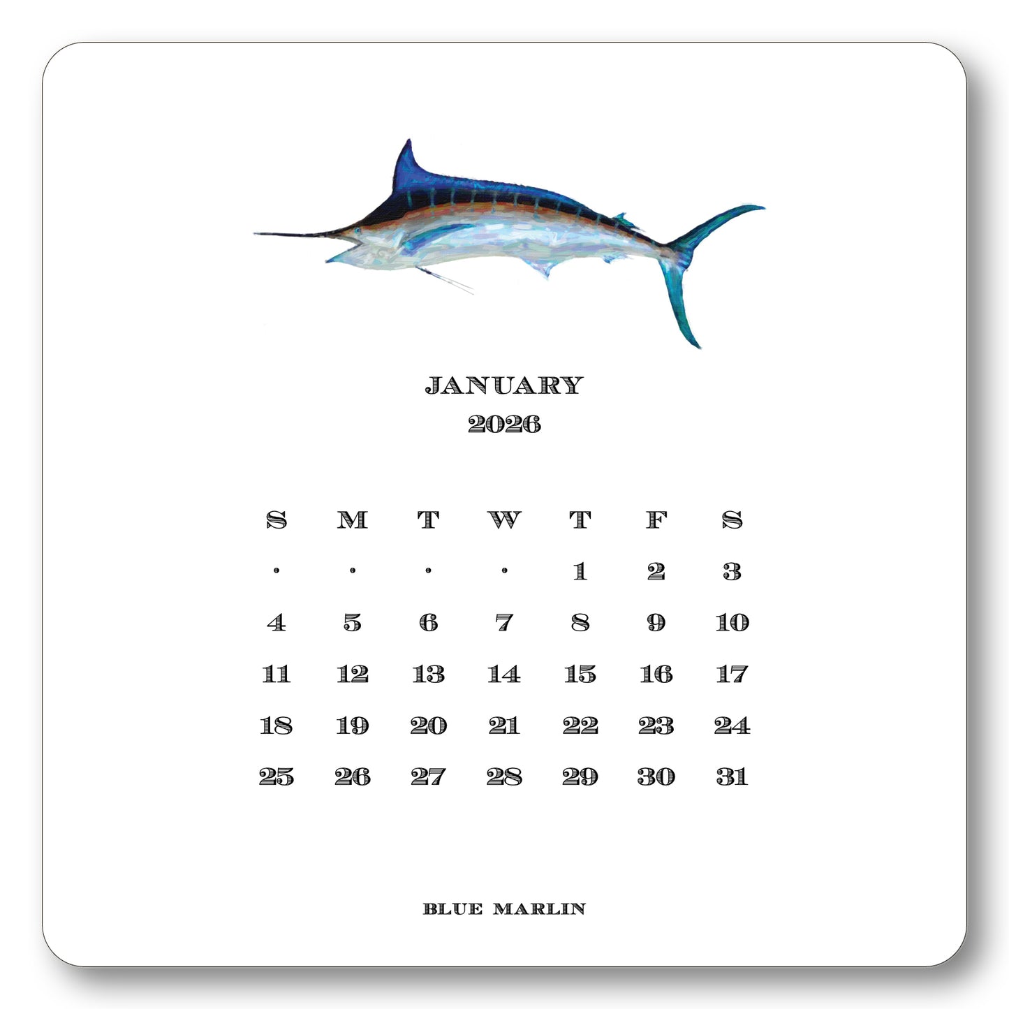2026 Saltwater Calendar with Easel