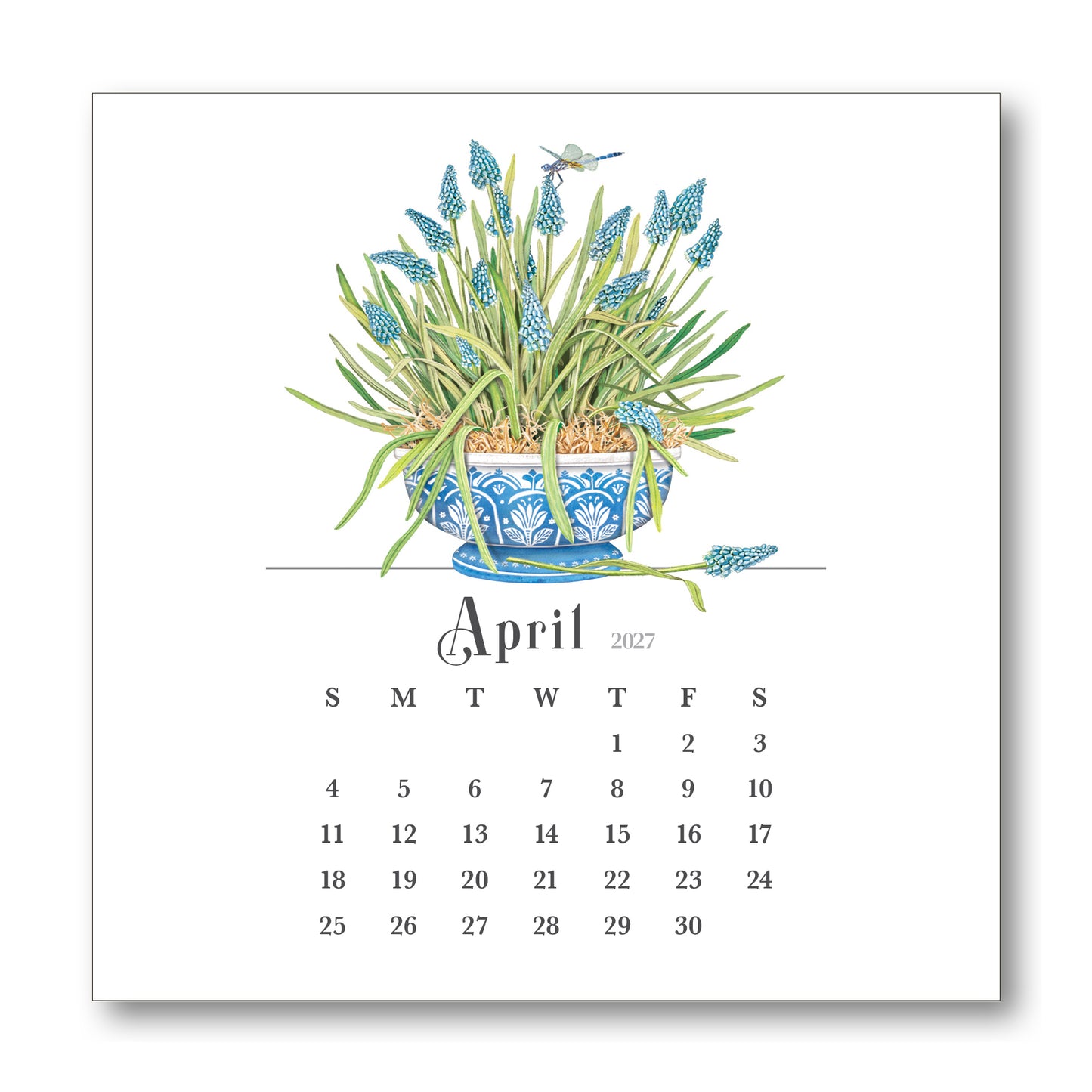 2027 Mary Lake-Thompson Flower Desk Calendar