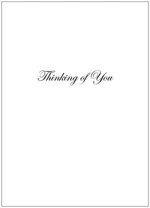 SEH CCC004 Thinking of You Card