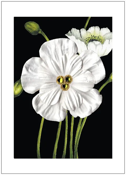 SEH CCC005 - Black Two Bloom Poppy