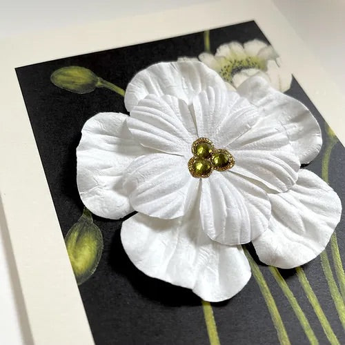SEH CCC005 - Black Two Bloom Poppy
