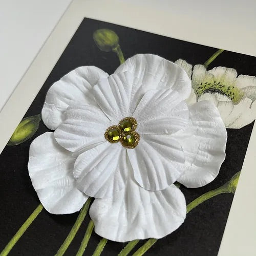 SEH CCC005 Greeting Card