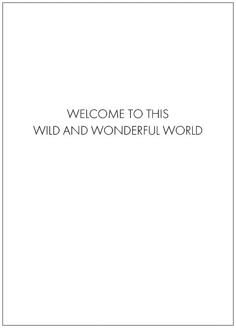 SEH CCC151 Baby Card