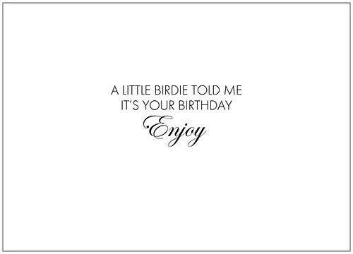 SEH CCC171 - Birthday Birdie
