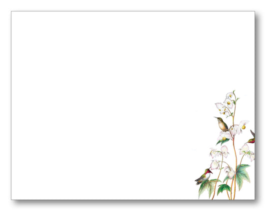 Hummingbird Branch Note Card