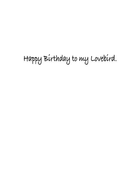 FR0368 Birthday Card / Love Partner