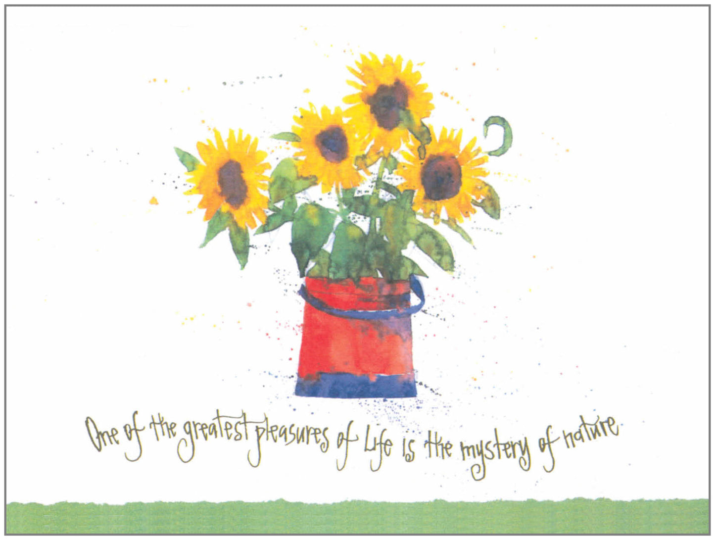 FR4112 Blank Note Cards