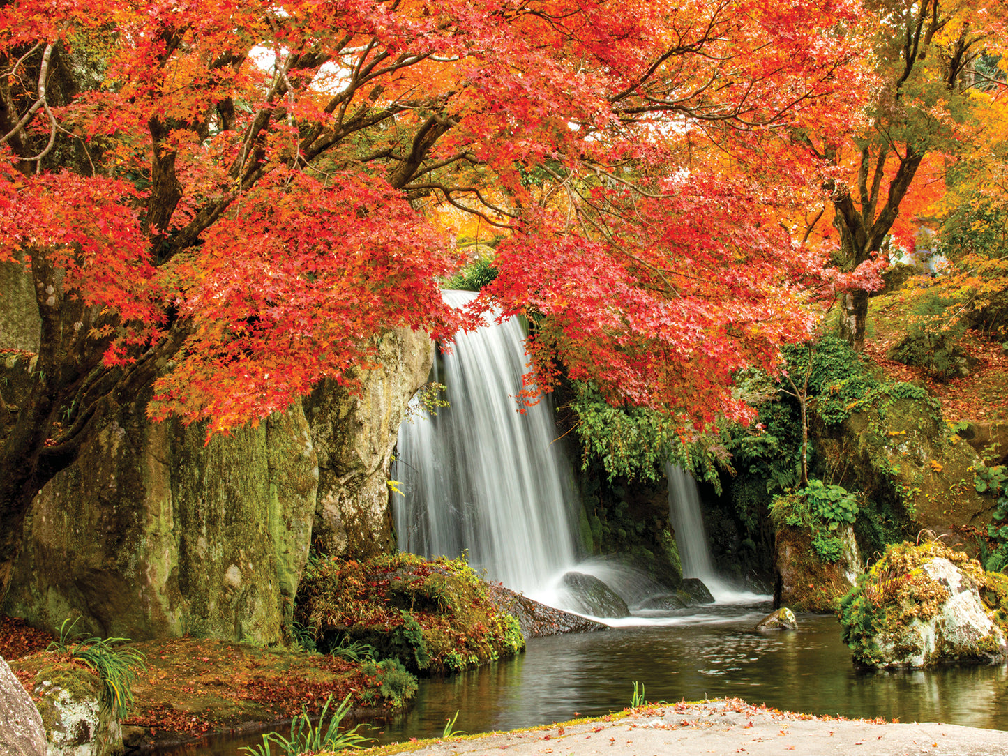 FR4137 Blank Note Cards