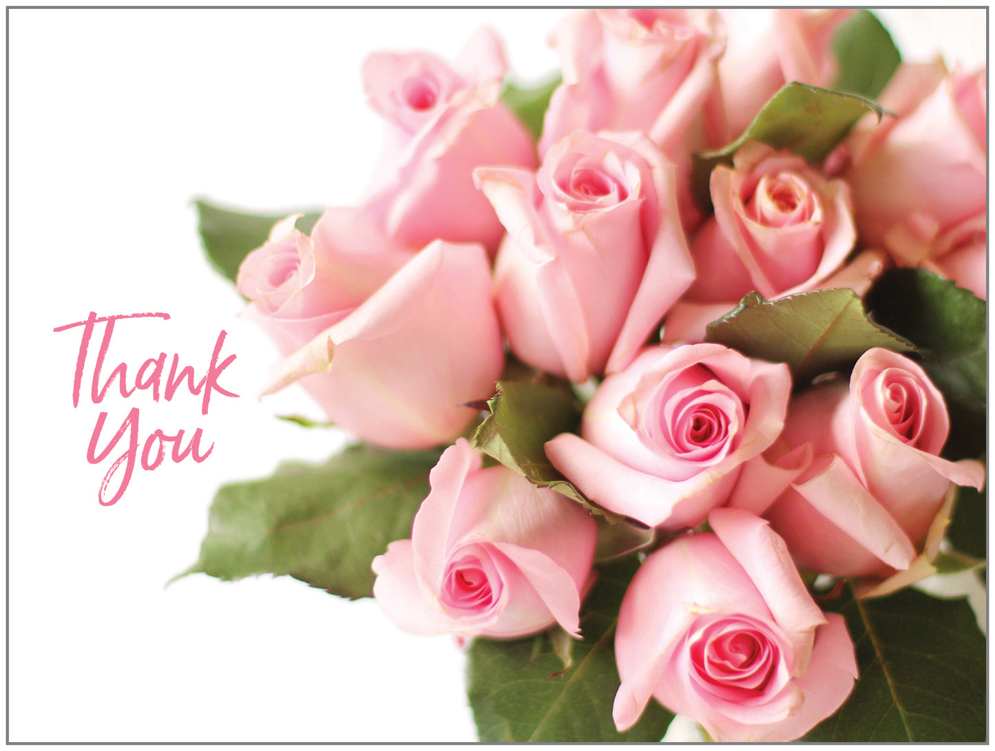 FR4143 Blank Note Cards