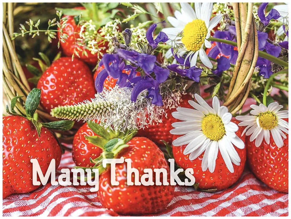 FR4148 Blank Note Cards