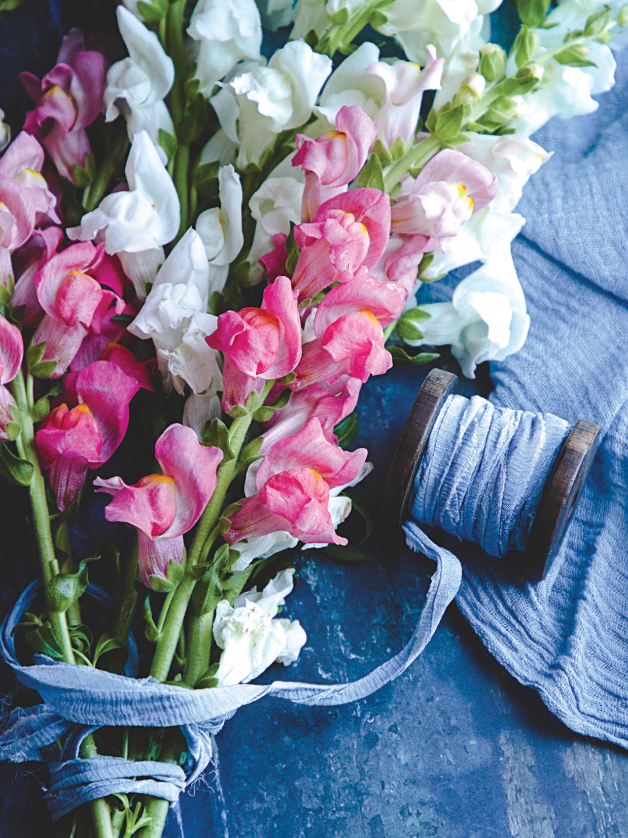 FR4154 Blank Note Cards