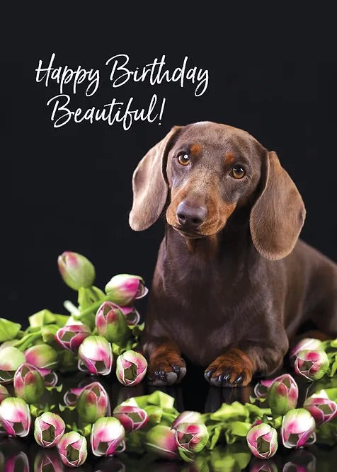 FR4718 Birthday Card