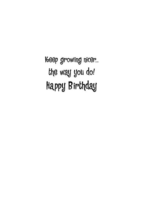 FR4858 Birthday Card