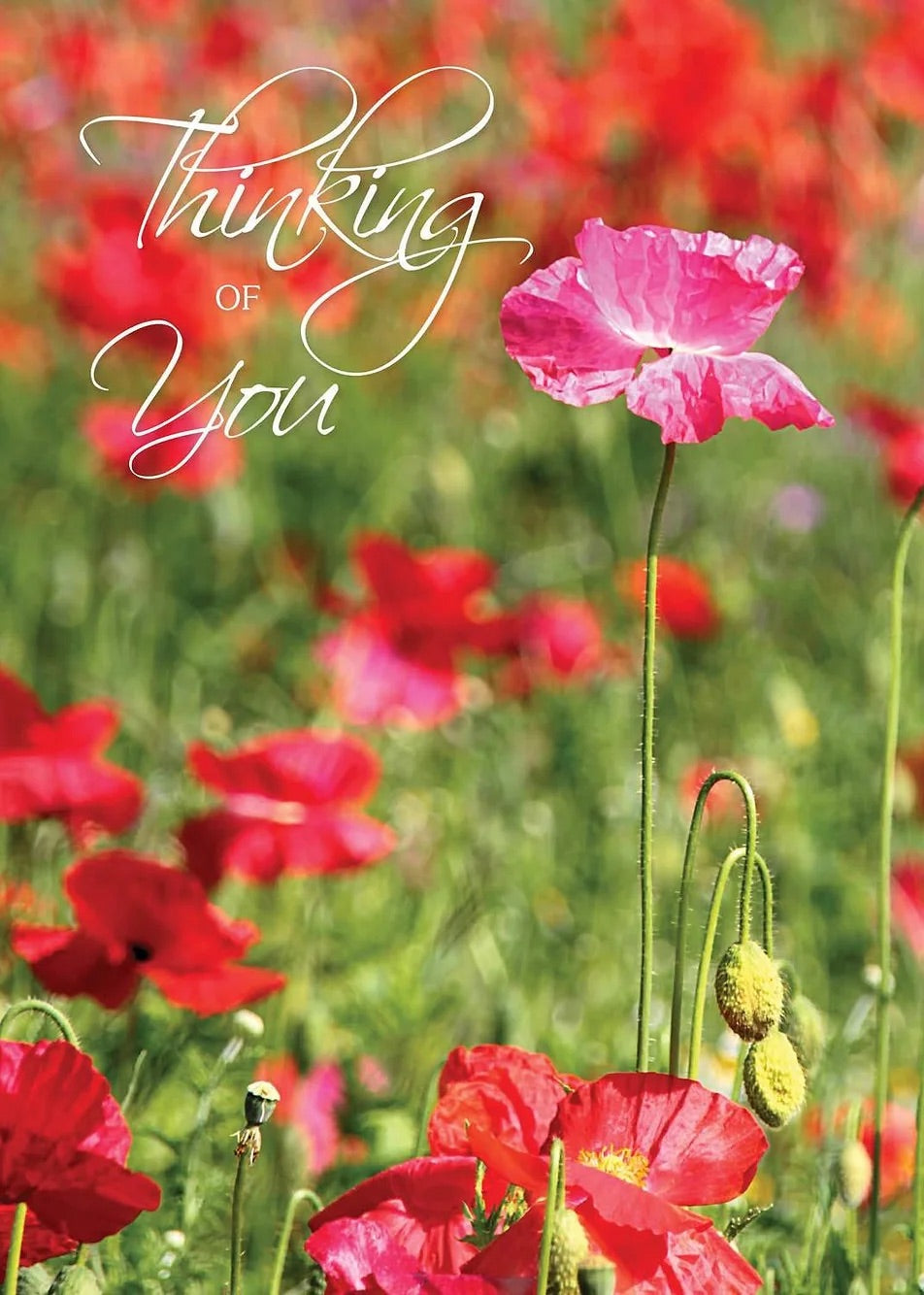 FR7131 Thinking of You Card