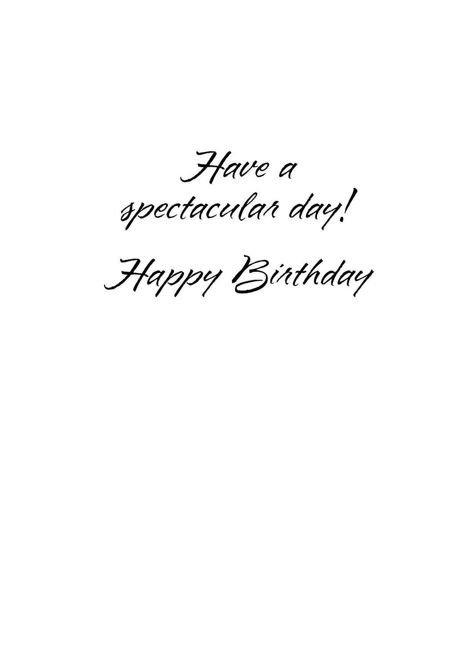 FR8896 Birthday Card