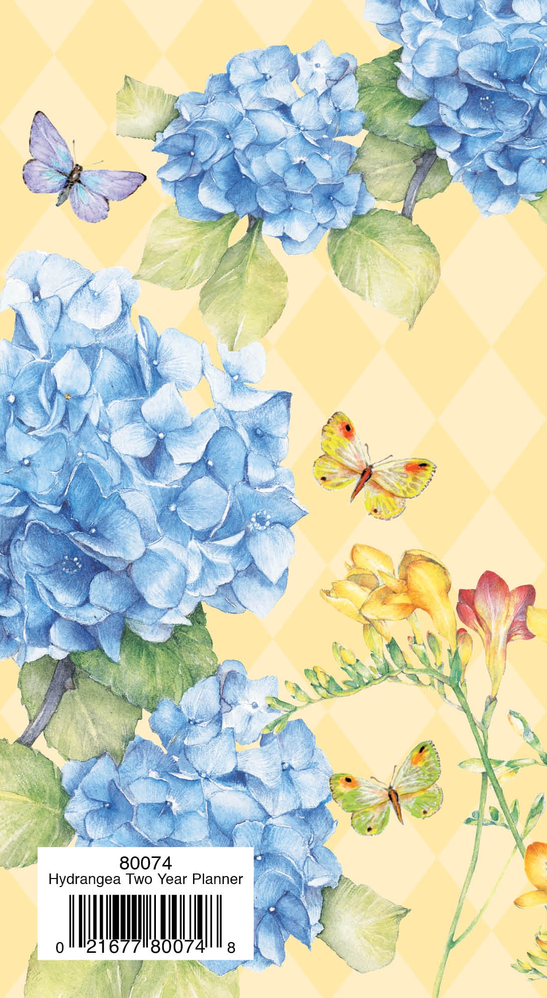 Two Year Planner FRG80074