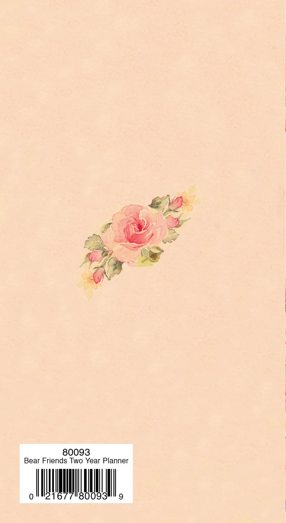 Two Year Planner FRG80093