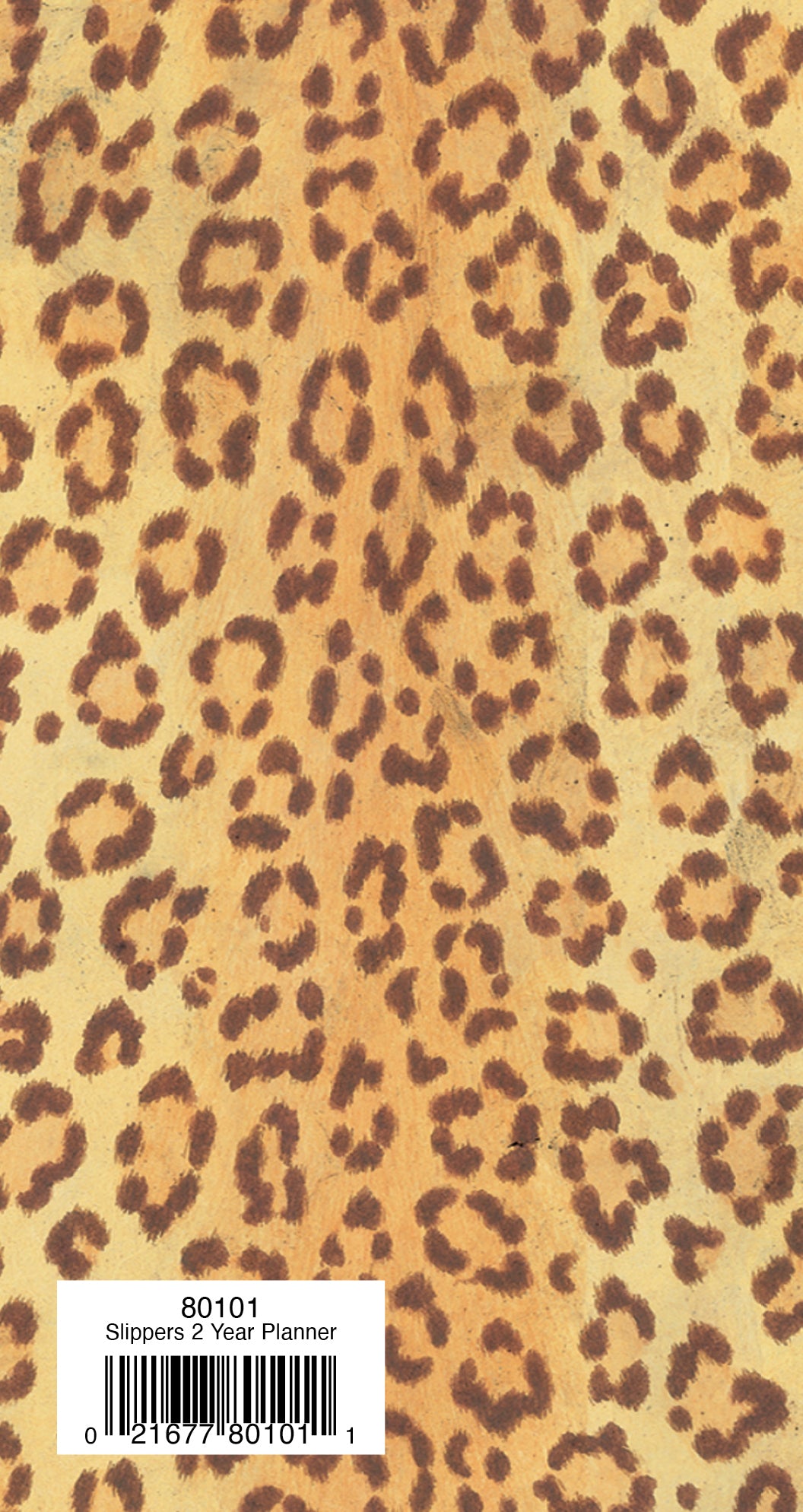 Two Year Planner FRG80101