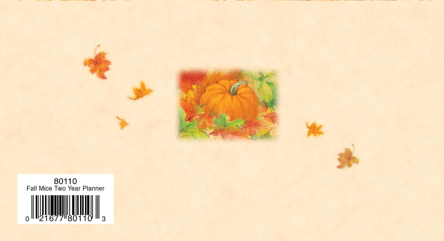 Two Year Planner FRG80110