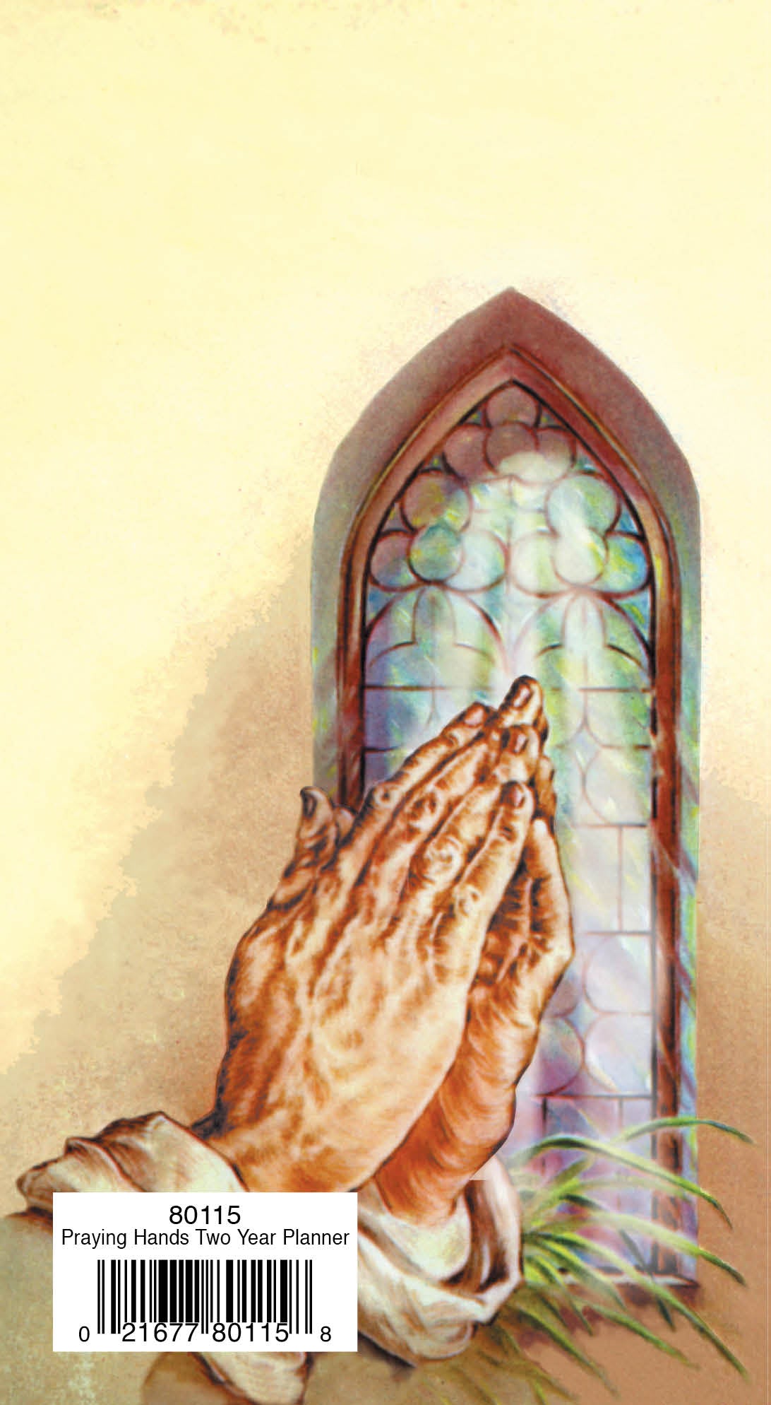 Two Year Planner FRG80115