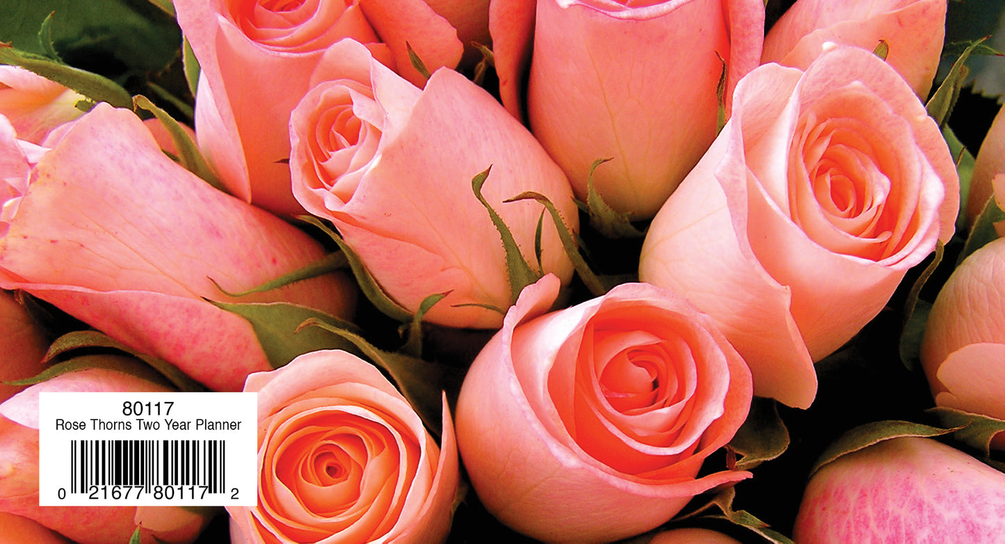 Two Year Planner FRG80117