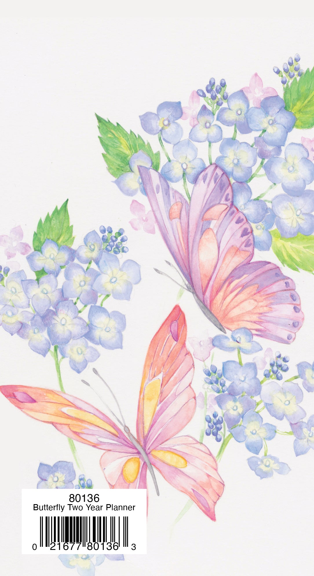 Two Year Planner FRG80136