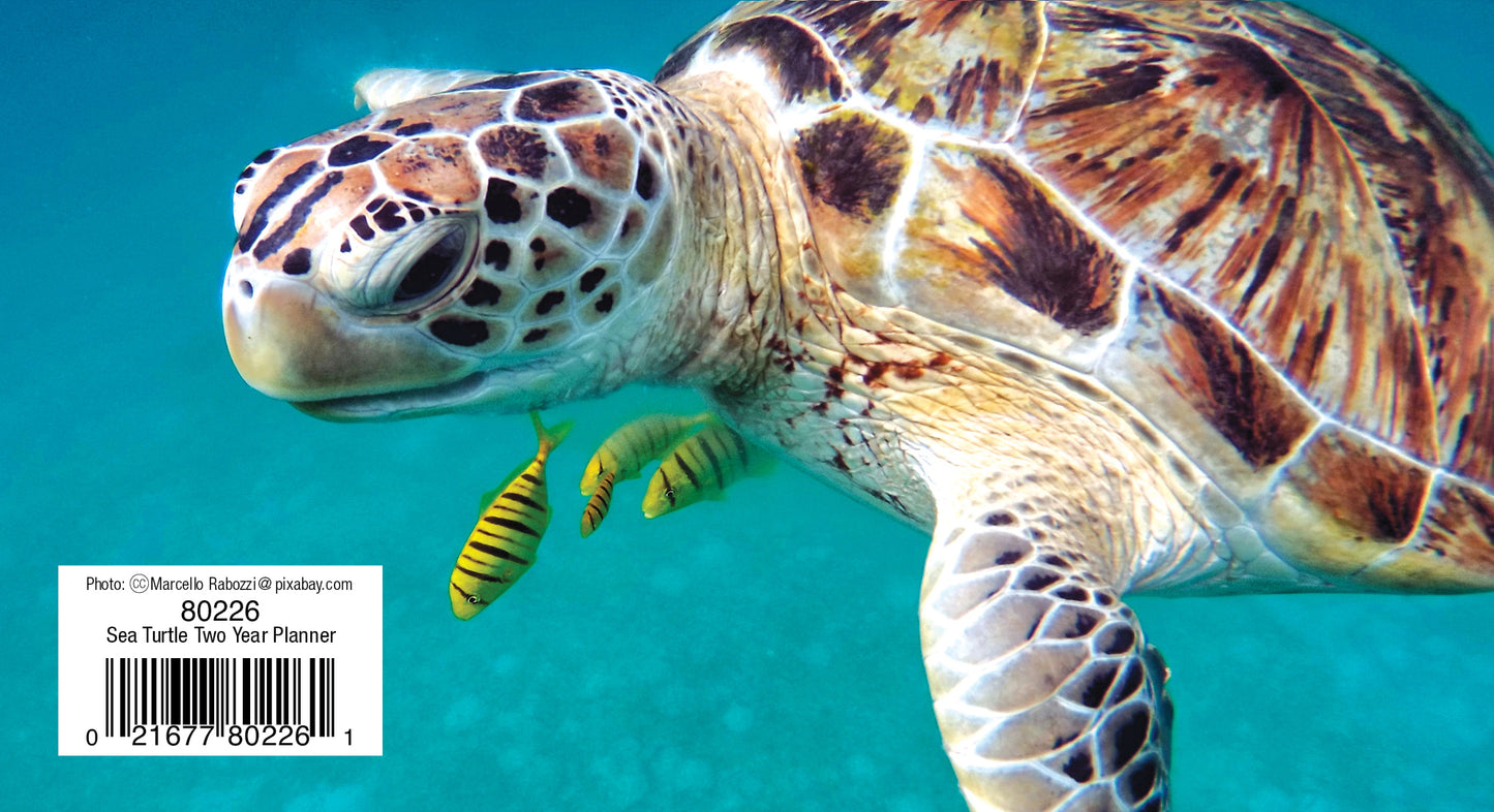 Two Year Planner FRG80226