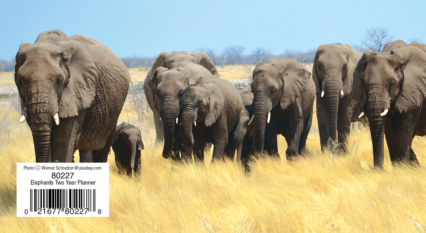 Two Year Planner FRG80227