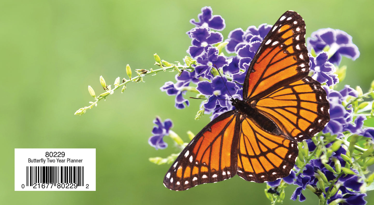 Two Year Planner FRG80229