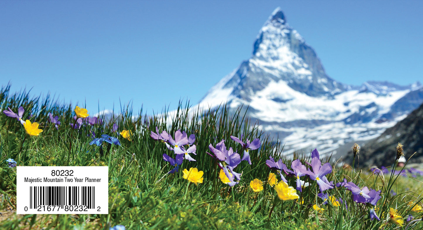 Two Year Planner FRG80232