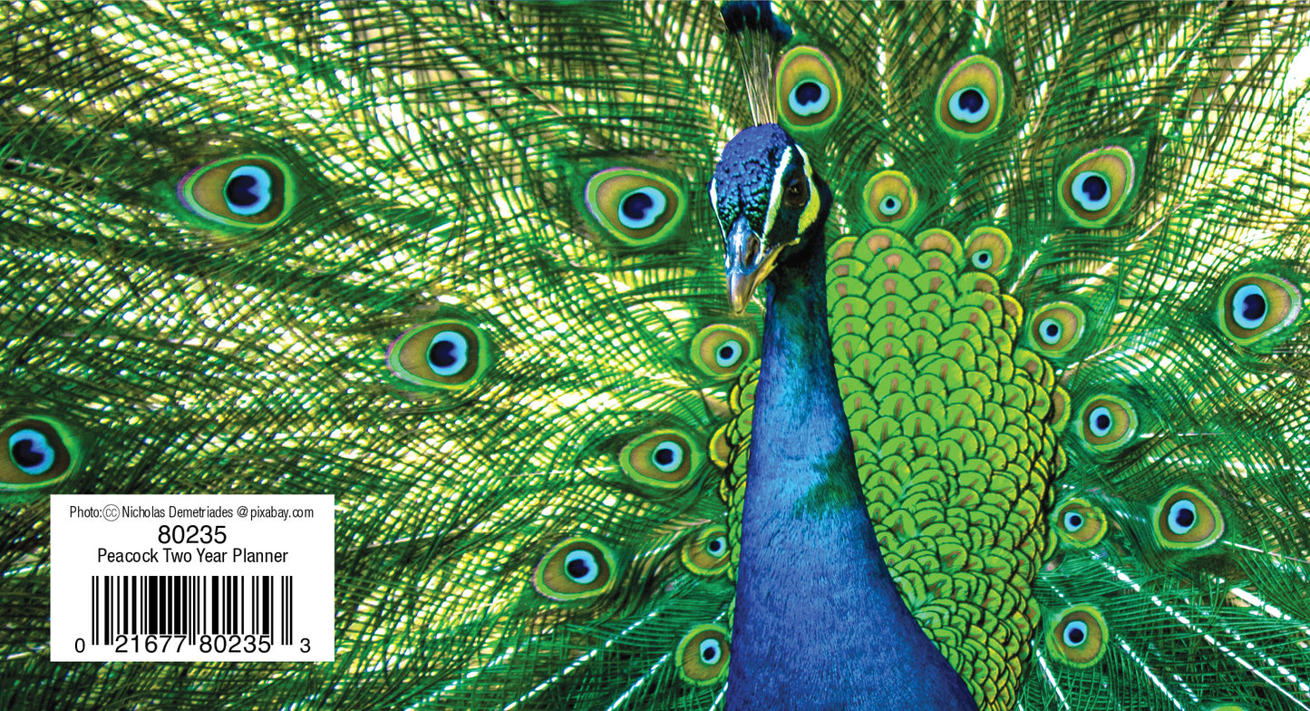 Two Year Planner FRG80235