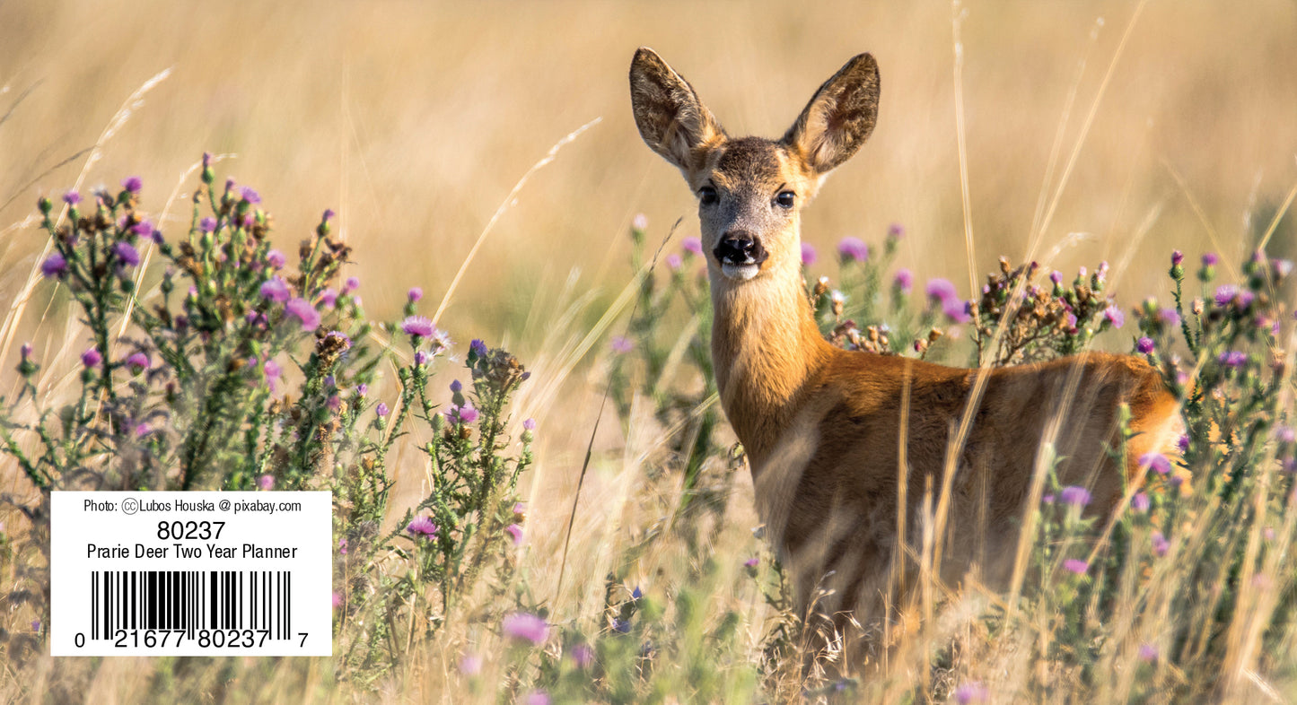 Two Year Planner FRG80237