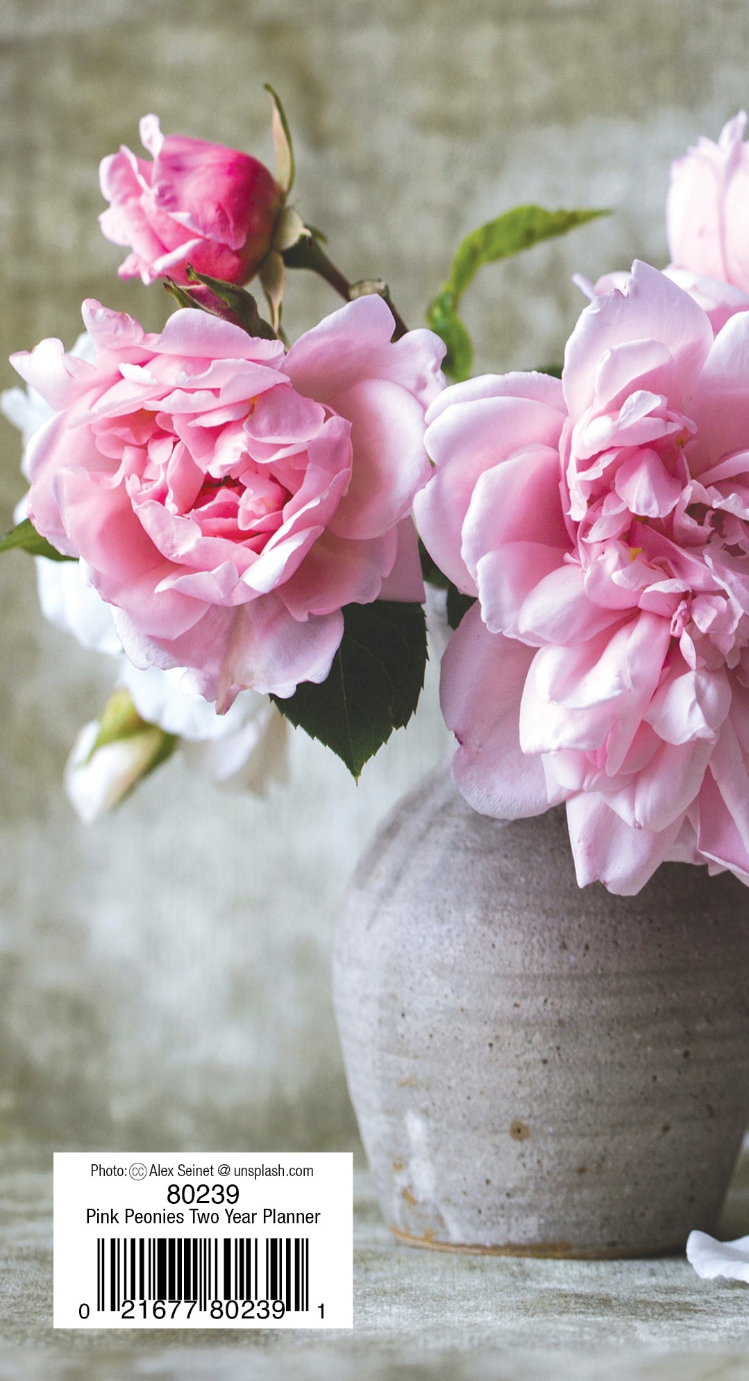 Two Year Planner FRG80239