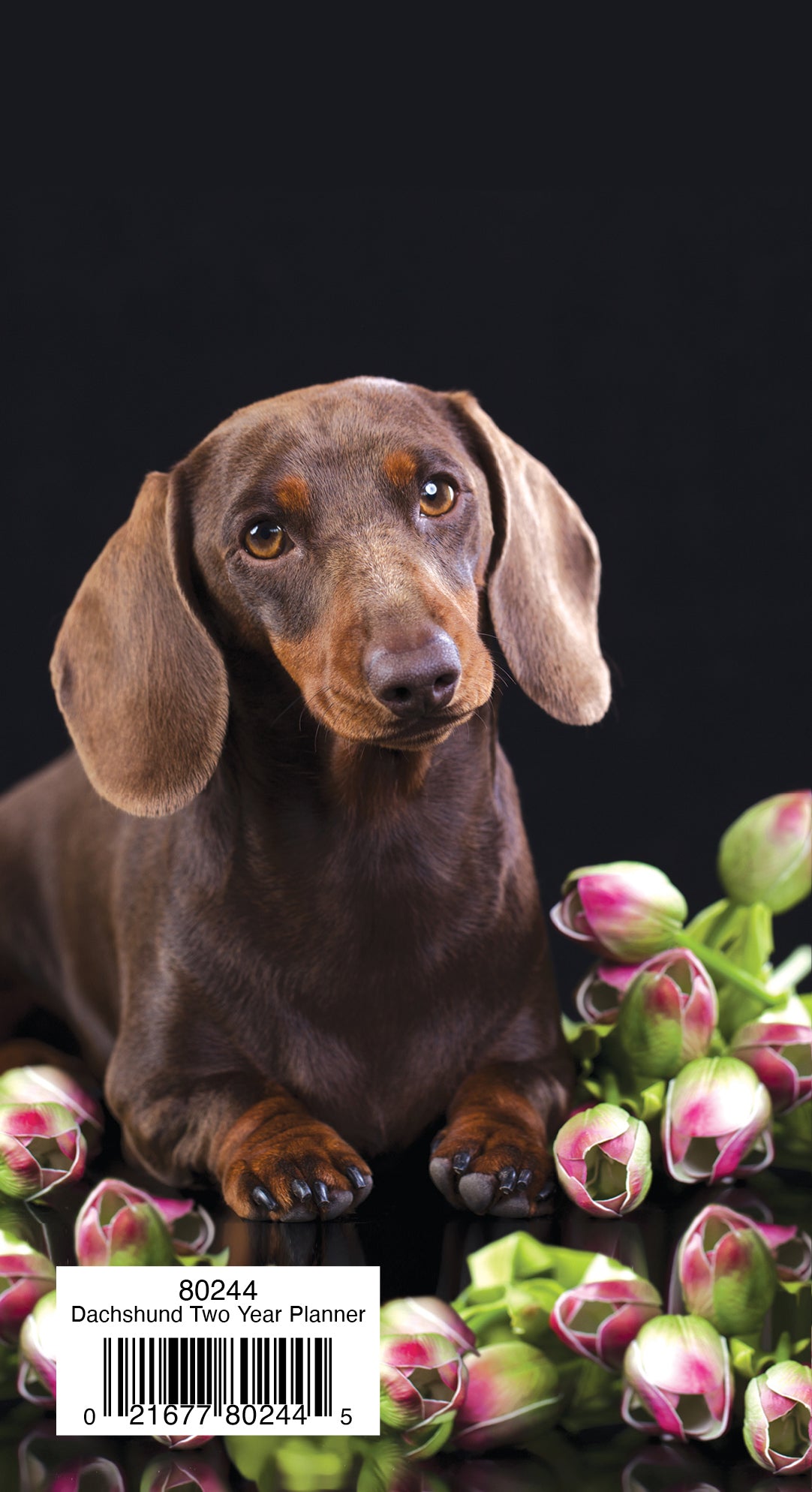 Two Year Planner FRG80244