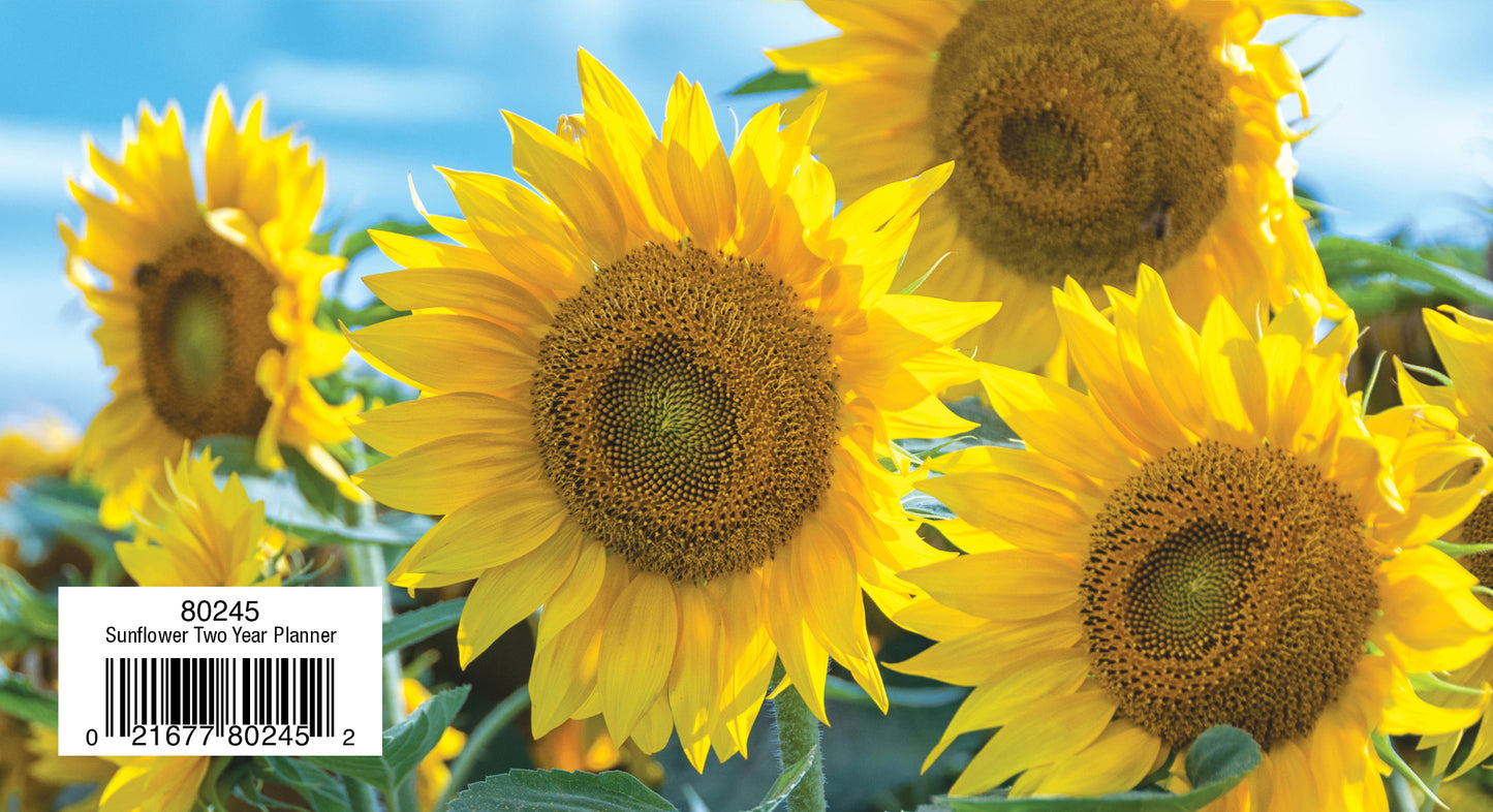 Two Year Planner FRG80245