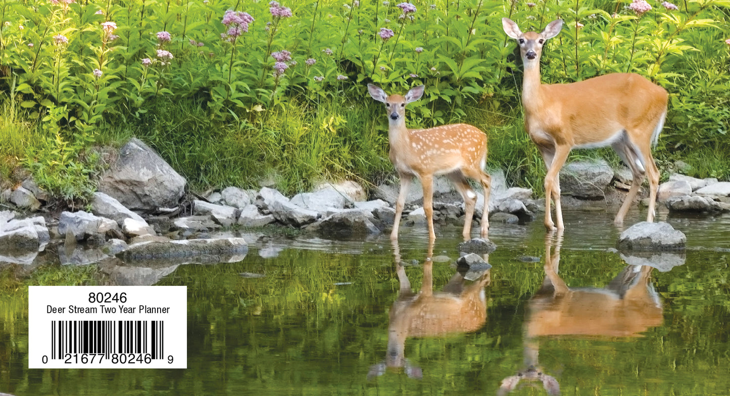 Two Year Planner FRG80246