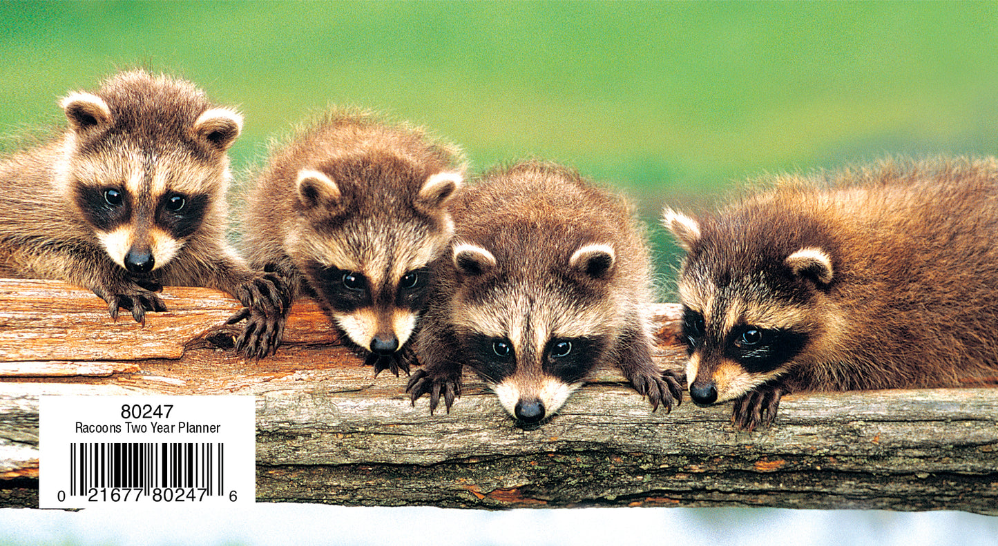 Two Year Planner FRG80247