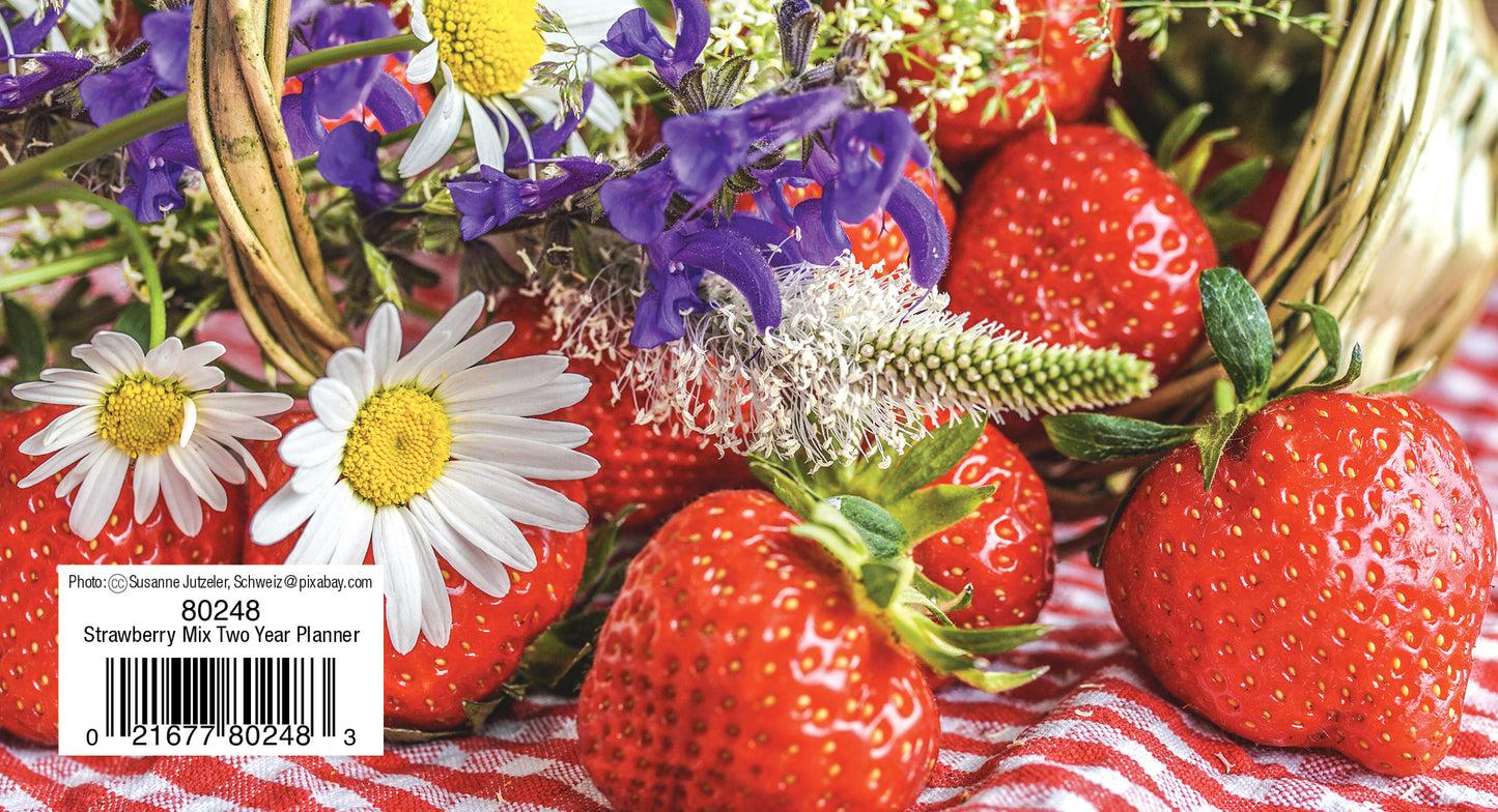 Two Year Planner FRG80248