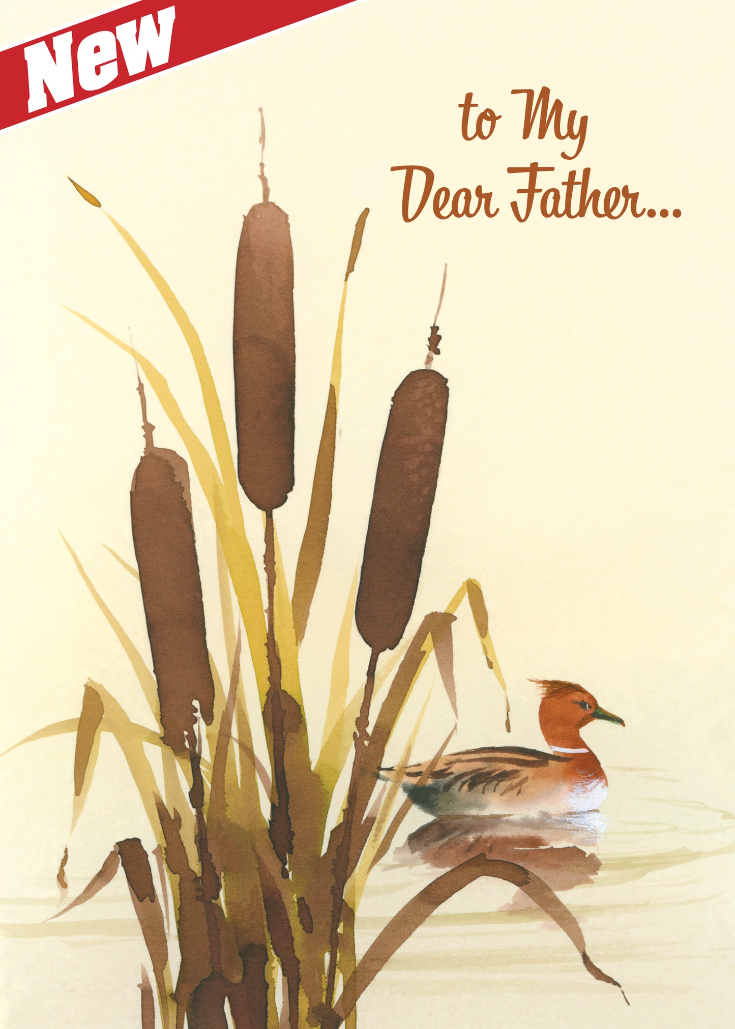 FRS6222 Father's Day Card
