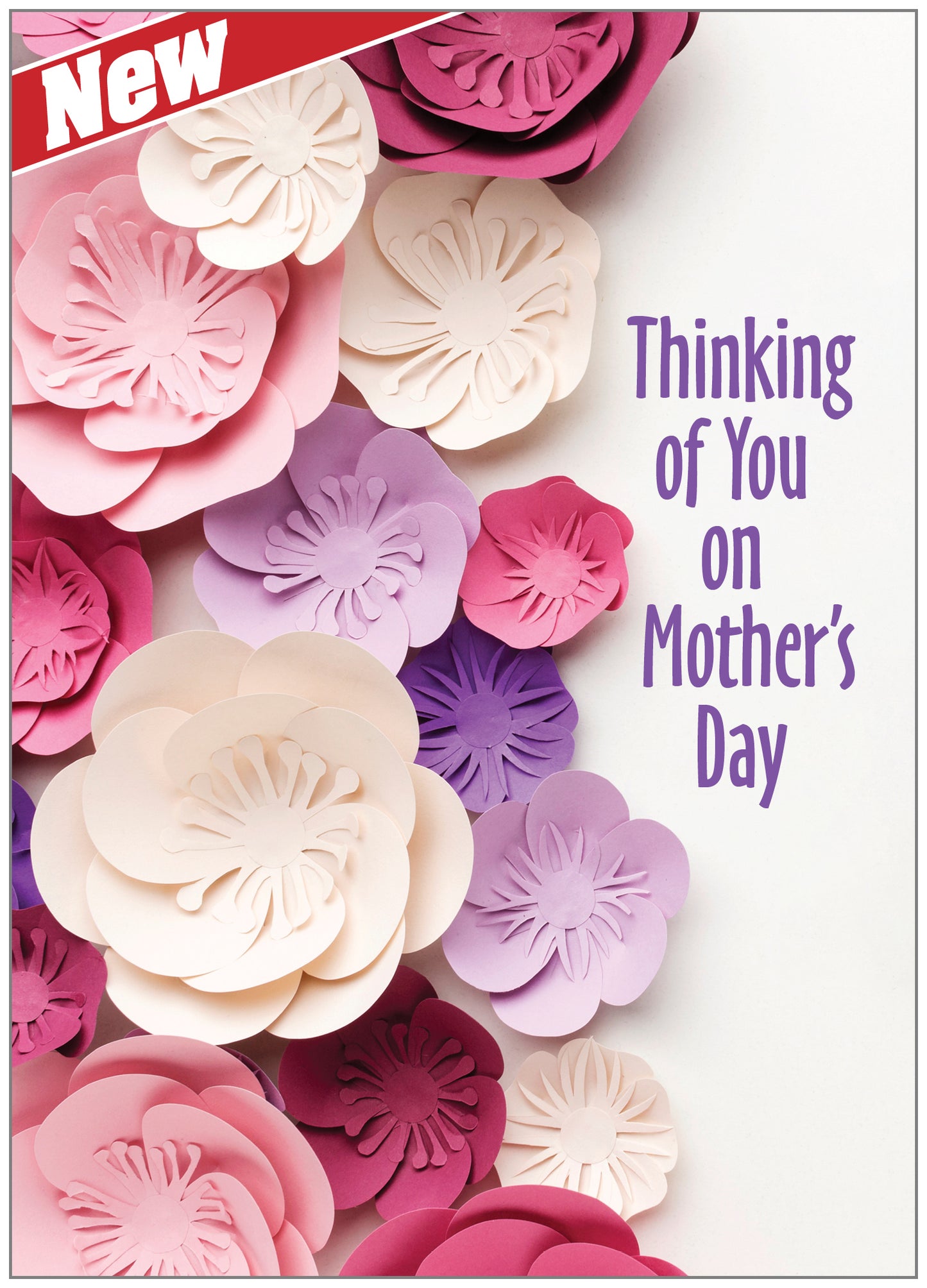 FRS6411 Mother's Day Card
