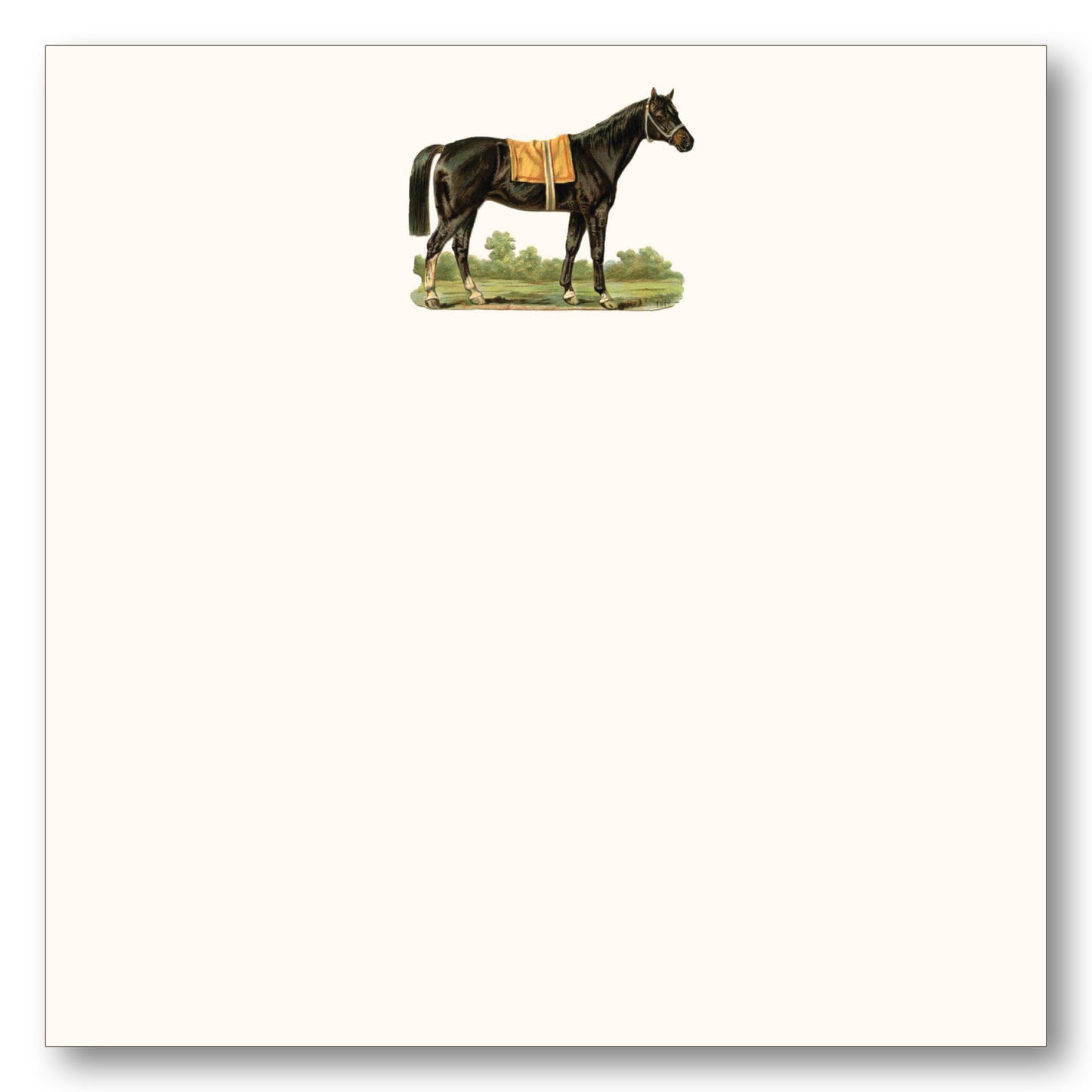 Horse Thoroughbred Note Block