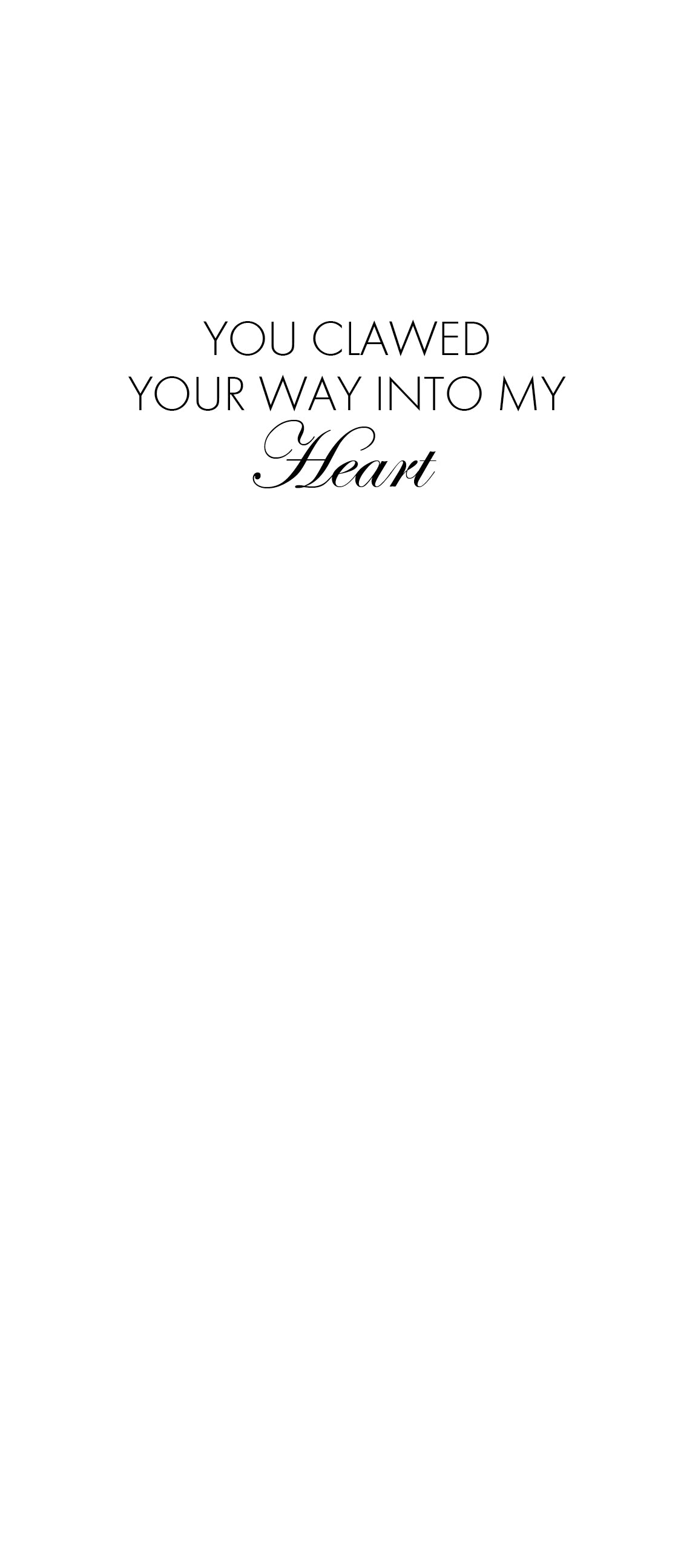 SEH AO743 Valentine's Day / Love / Anniversary Card